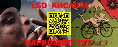 прущие грибы Вязьма