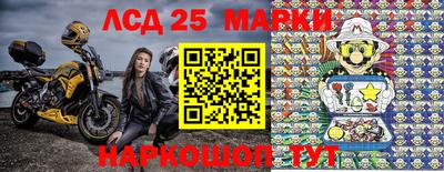 прущие грибы Вязьма