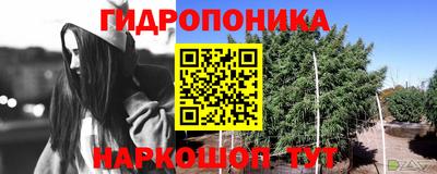 дмт Вышний Волочёк