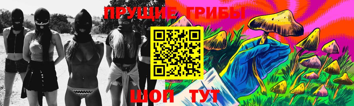 Псилоцибиновые грибы Cubensis  Вход с VPN  Ярцево 