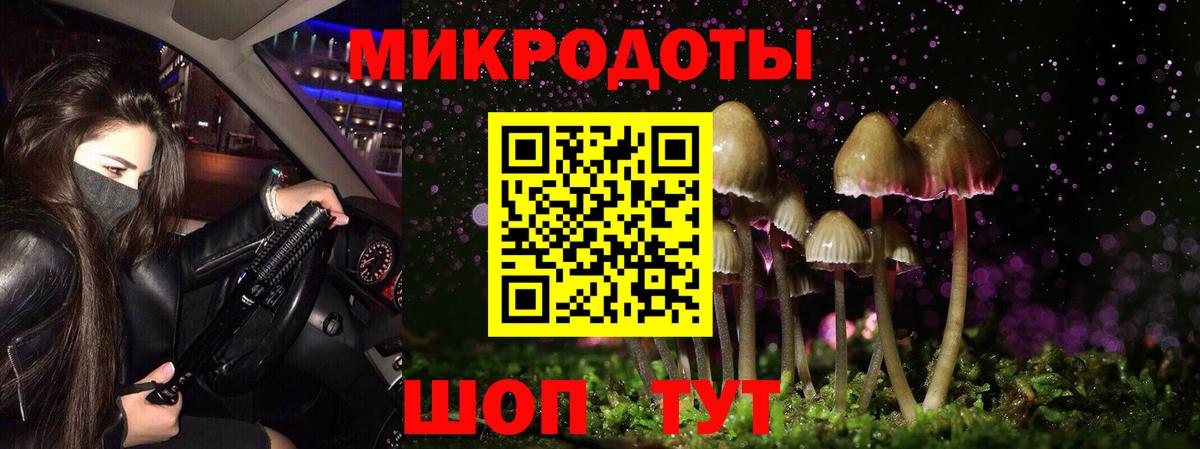 Псилоцибиновые грибы Psilocybe Ярцево